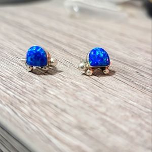 ✨️925 sterling silver genuine Blue Opal Turtle Earrings